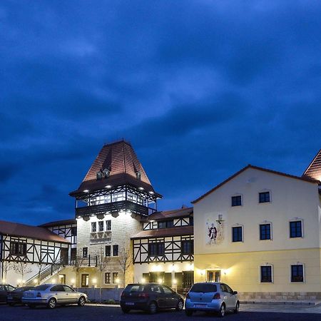 Hotel Castel Royal Mosnita Noua Eksteriør billede